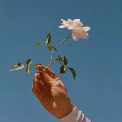 梦幻滑雪手游下载